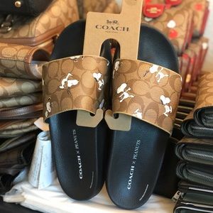 NWT! Coach X Peanuts Slide With Snoopy Print